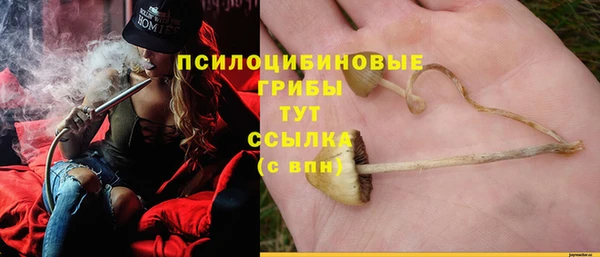 крисы Алзамай