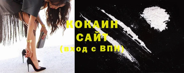 ешки Алексин