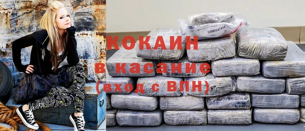 крисы Алзамай