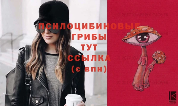 крисы Алзамай