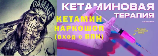крисы Алзамай